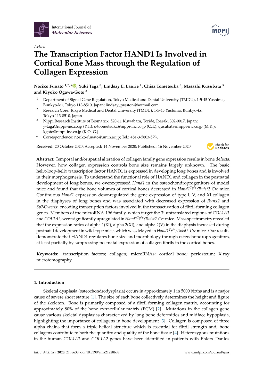 The Transcription Factor HAND1 Is Involved in Cortical Bone Mass Through the Regulation of Collagen Expression