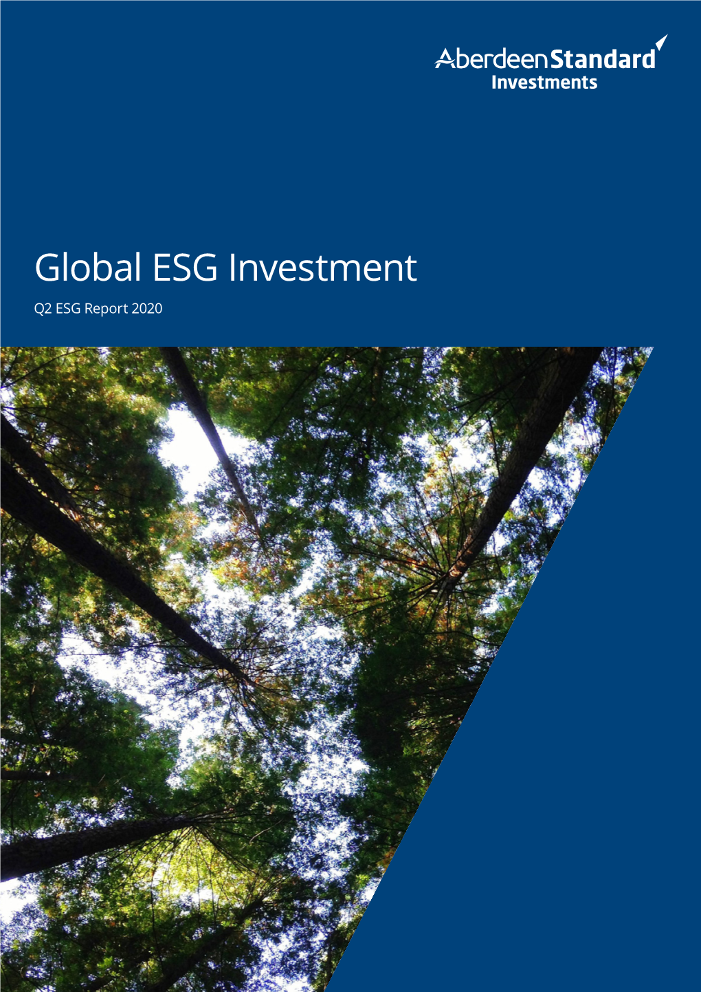 Global ESG Investment Q2 ESG Report 2020 02 Global ESG Report