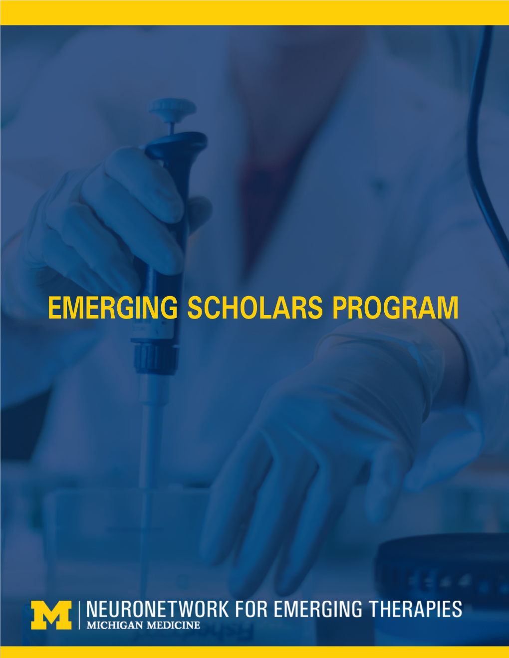 DOWNLOAD Emerging Scholars Brochure