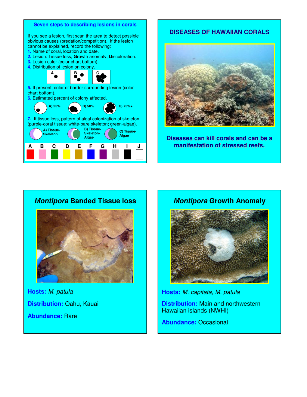 DISEASES of HAWAIIAN CORALS If You See a Lesion, First Scan the Area to Detect Possible Obvious Causes (Predation/Competition)