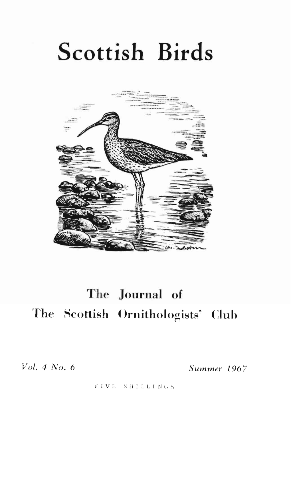 Scottish Birds