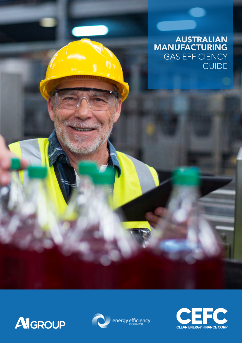 AUSTRALIAN MANUFACTURING GAS EFFICIENCY GUIDE Acknowledgments