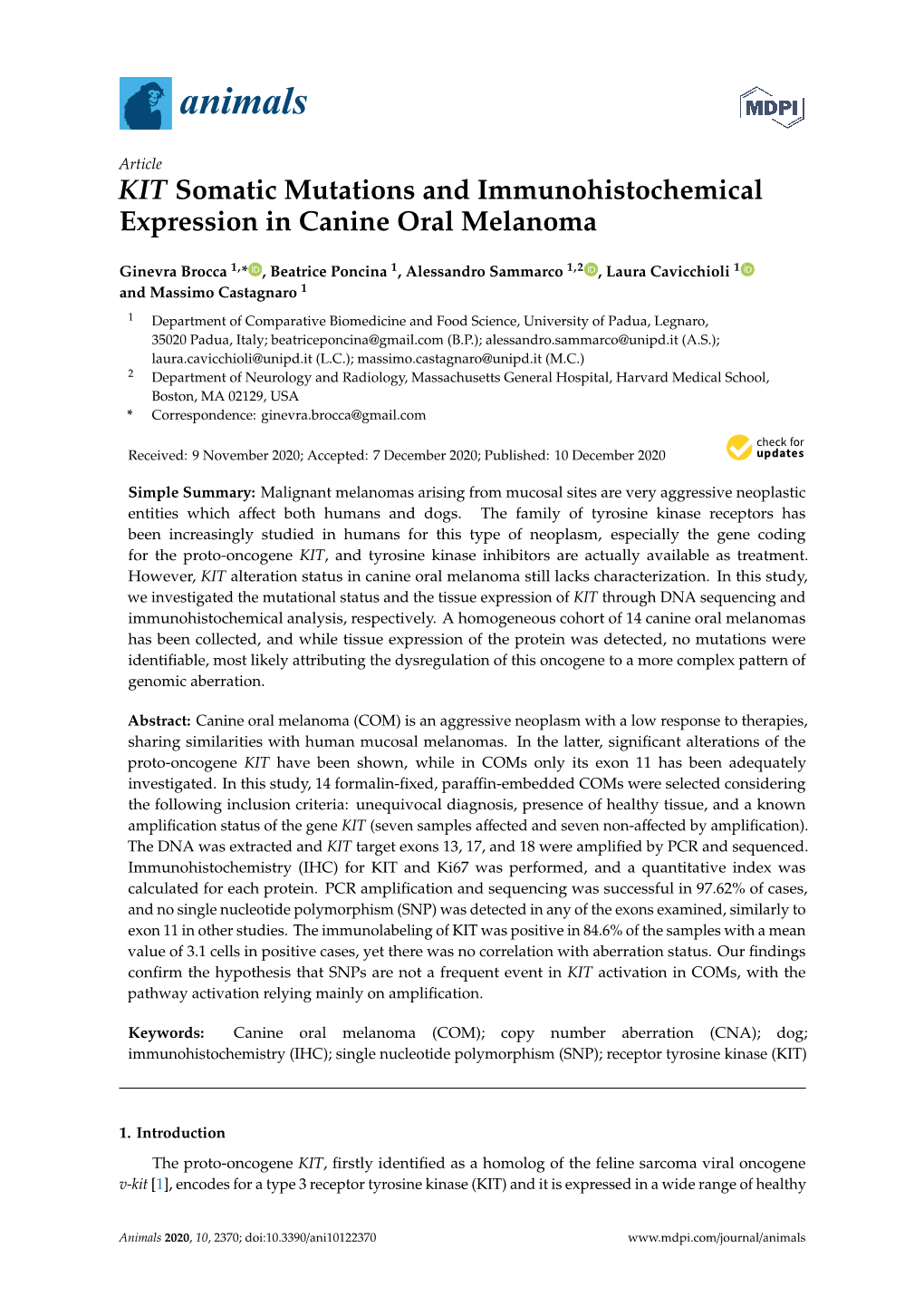 KIT Somatic Mutations and Immunohistochemical Expression in Canine Oral Melanoma