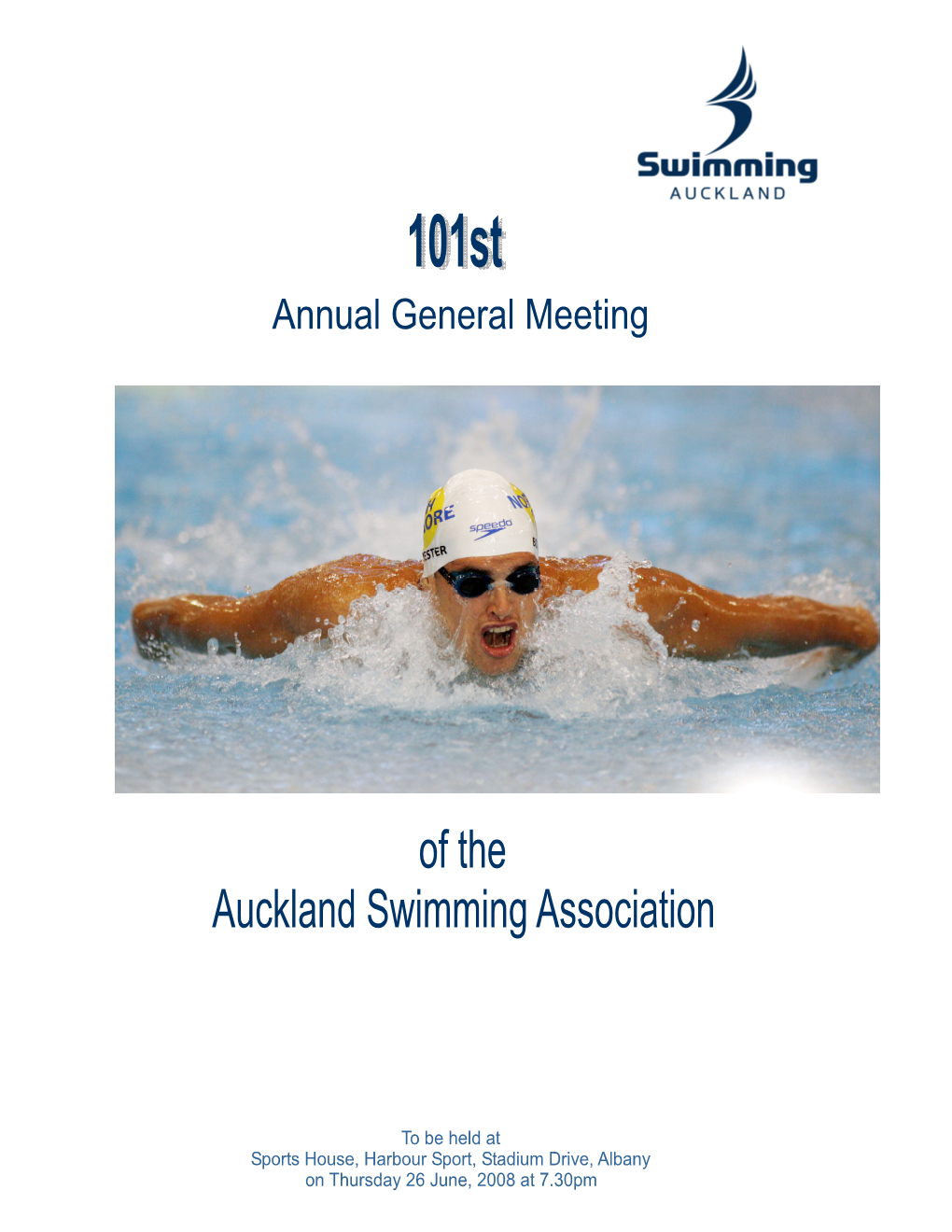 2008 Annual Report