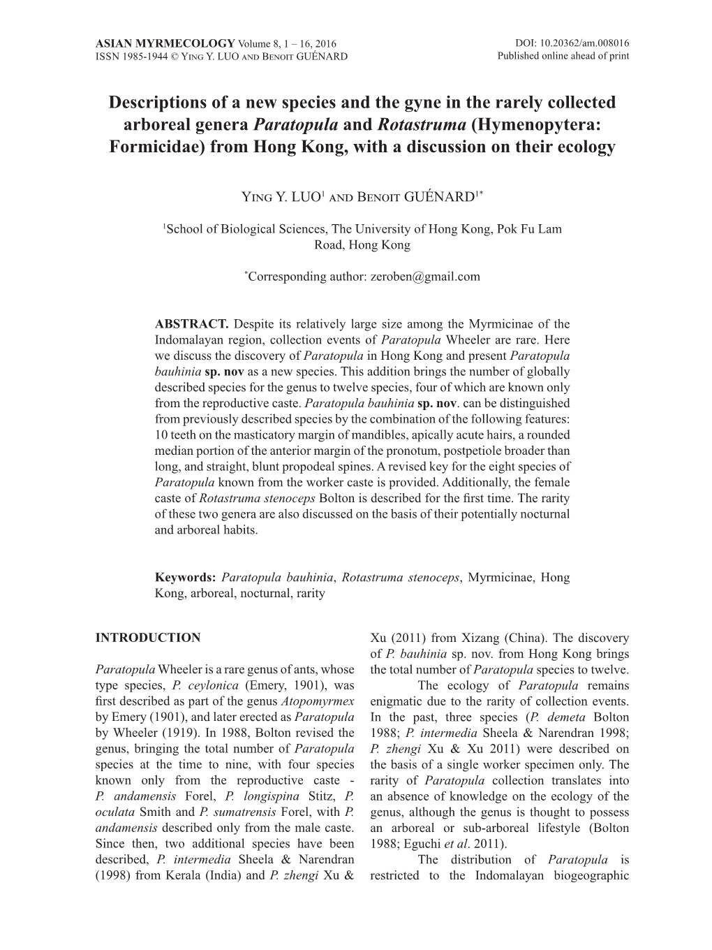 Descriptions of a New Species and the Gyne in the Rarely Collected Arboreal Genera Paratopula and Rotastruma