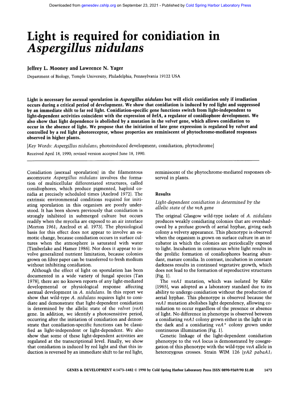 Aspergillus Nidulans