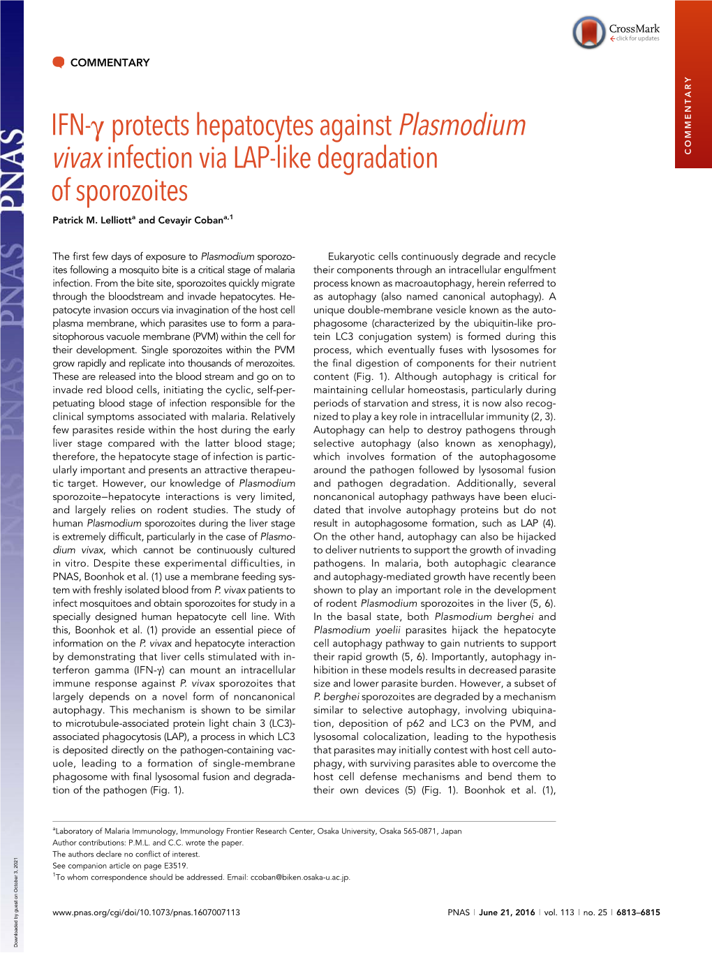 IFN-Γ Protects Hepatocytes Against Plasmodium Vivax Infection Via LAP-Like Degradation COMMENTARY of Sporozoites Patrick M