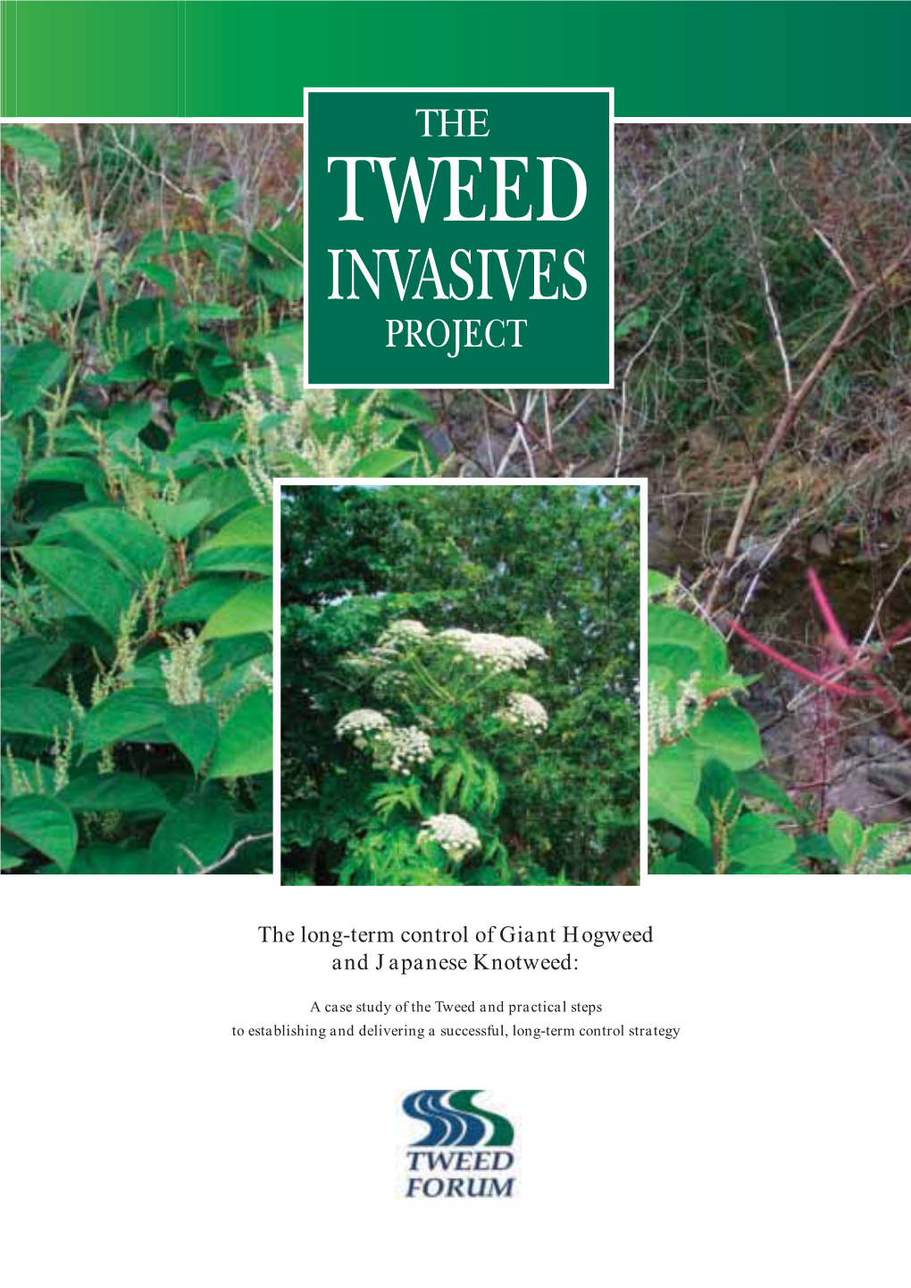 The Long-Term Control of Giant Hogweed and Japanese Knotweed