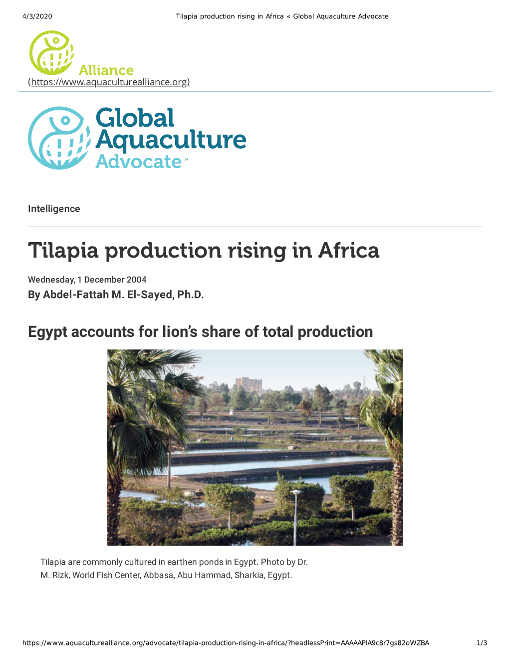 Tilapia Production Rising in Africa « Global Aquaculture Advocate