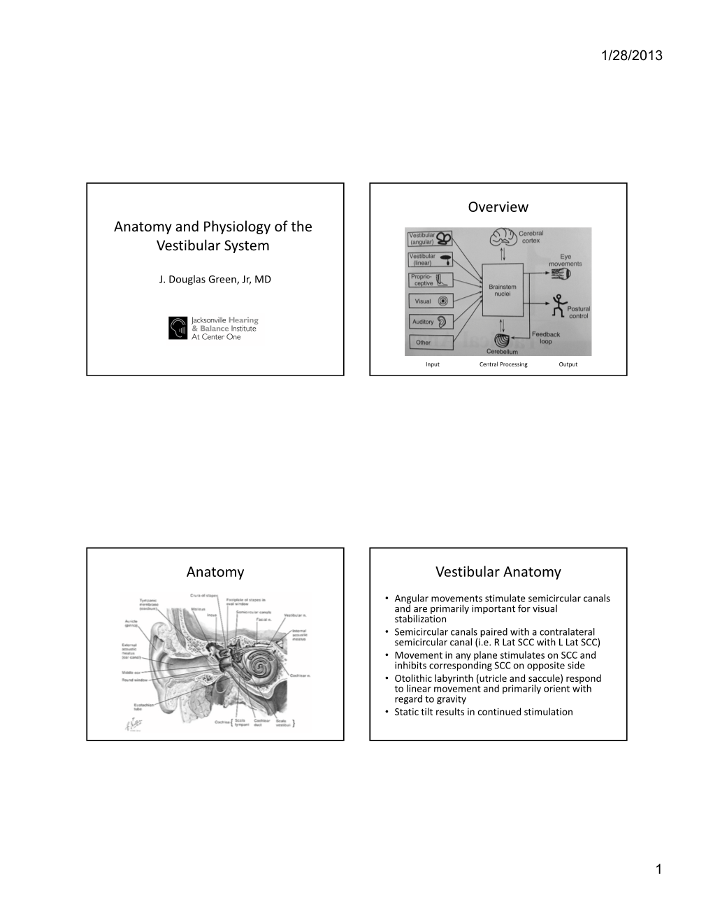 Anatomy and Physiology of the Vestibular System