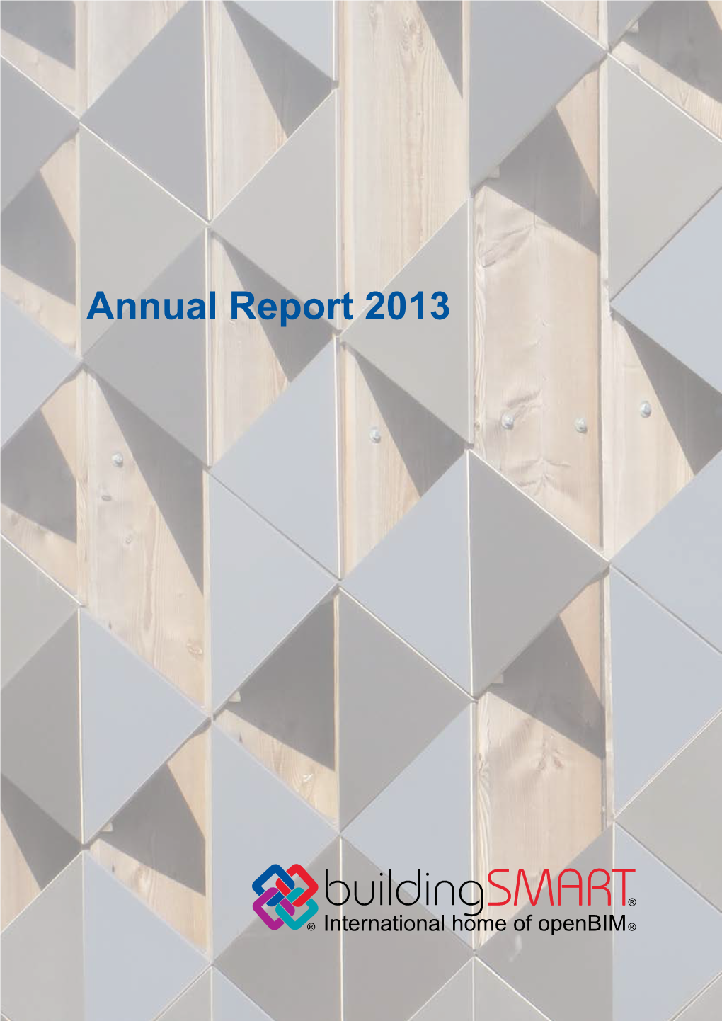 2013 Annual Report