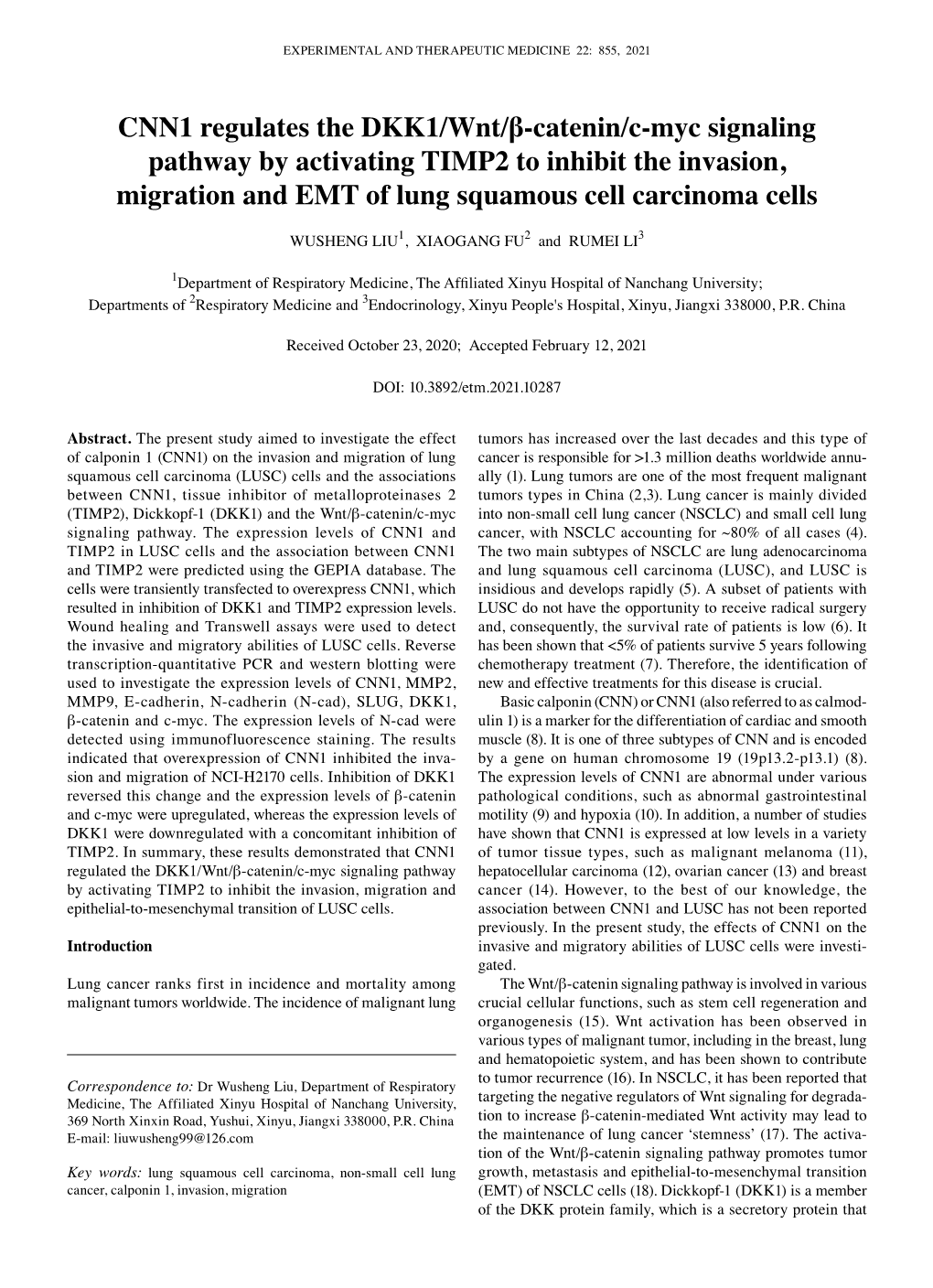 CNN1 Regulates the DKK1/Wnt/Β‑Catenin/C‑Myc Signaling Pathway by Activating TIMP2 to Inhibit the Invasion, Migration and EMT of Lung Squamous Cell Carcinoma Cells