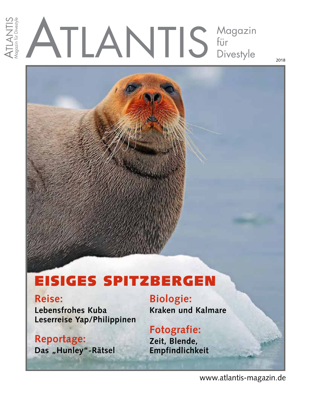 Eisiges Spitzbergen