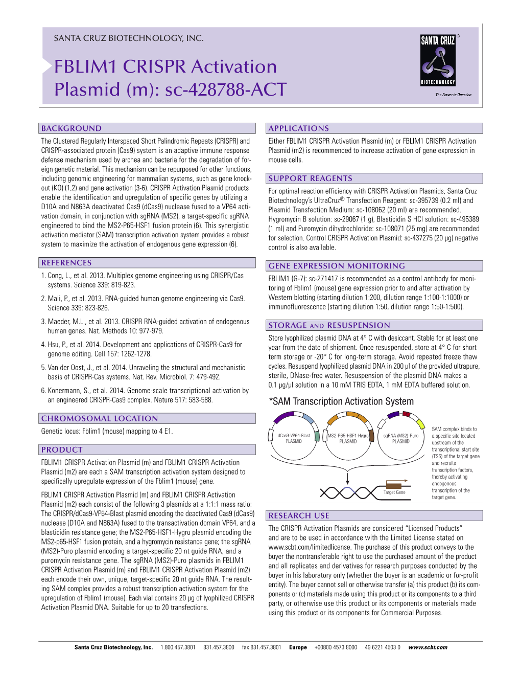 FBLIM1 CRISPR Activation Plasmid (M): Sc-428788-ACT