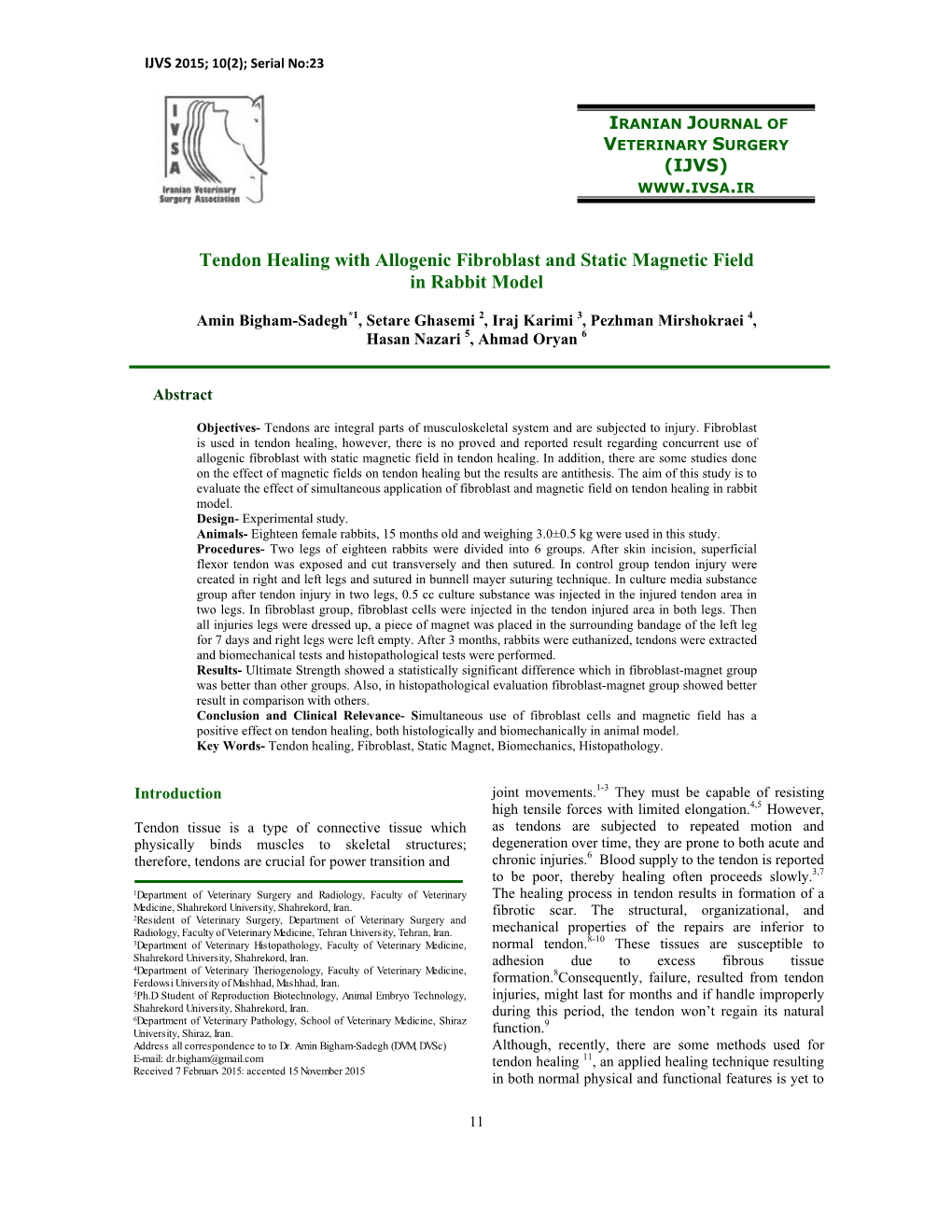 Tendon Healing with Allogenic Fibroblast and Static Magnetic Field in Rabbit Model