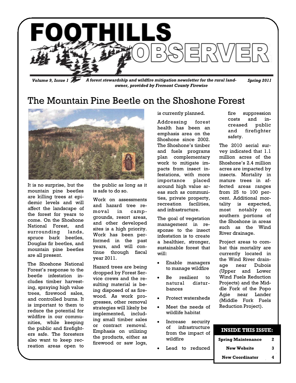 The Mountain Pine Beetle on the Shoshone Forest