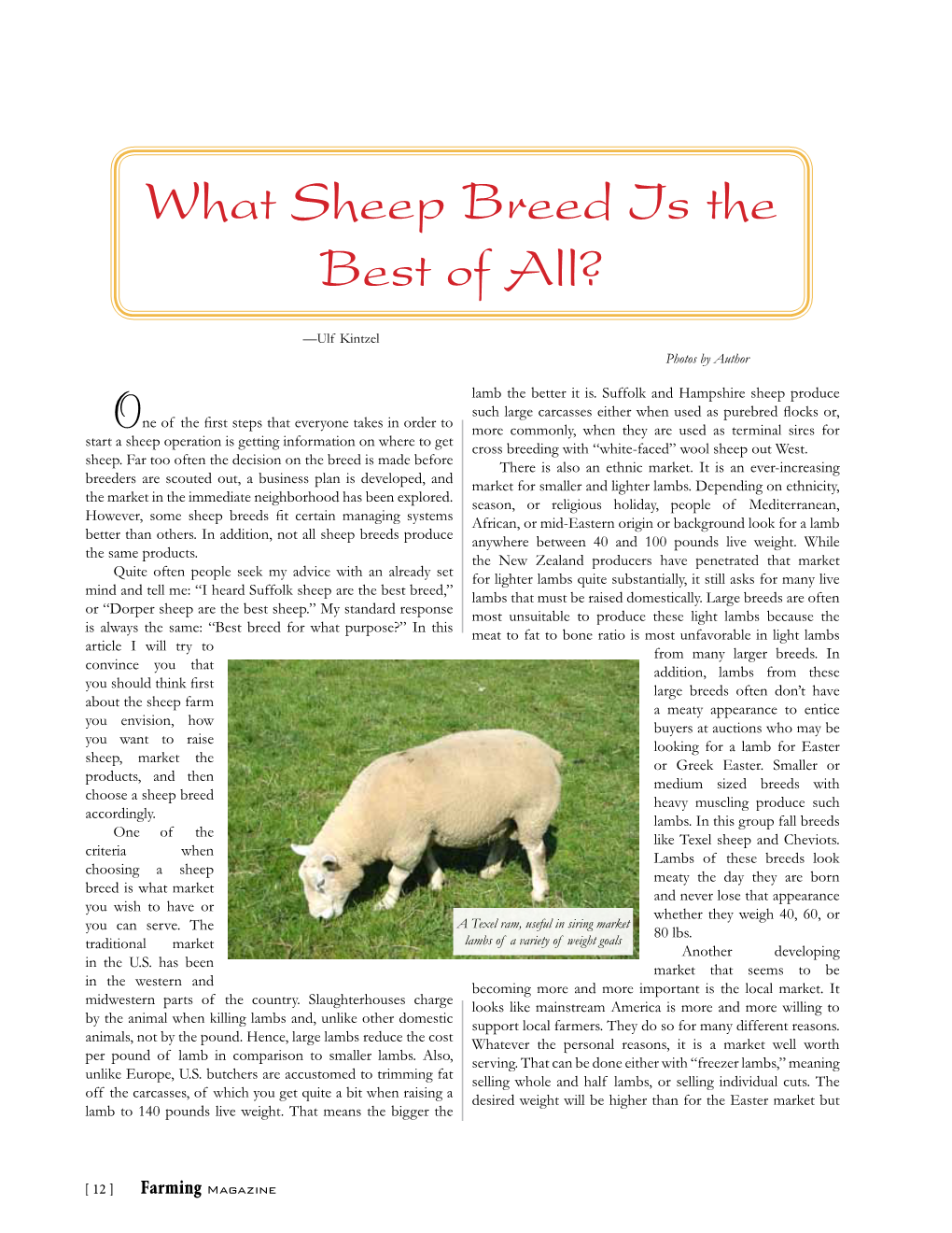 What Sheep Breed Is the Best of All?