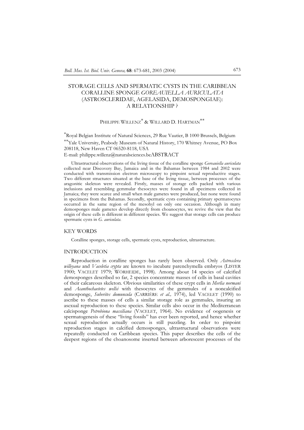 Storage Cells and Spermatic Cysts in the Caribbean Coralline Sponge Goreauiella Auriculata (Astroscleridae, Agelasida, Demospongiae): a Relationship ?