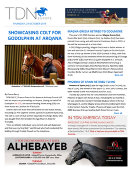 Showcasing Colt for Godolphin at Arqana Cont