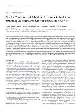 Glycine Transporter-1 Inhibition Promotes Striatal Axon Sprouting Via NMDA Receptors in Dopamine Neurons