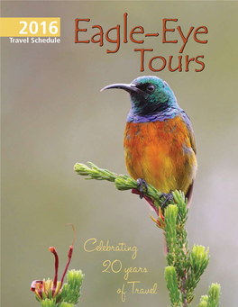Celebrating 20 Years of Travel About Eagle-Eye Tours Tours by Region
