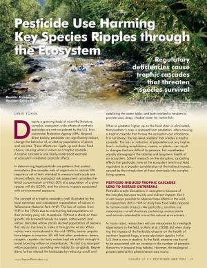 Pesticide Use Harming Key Species Ripples Through the Ecosystem Regulatory Deficiencies Cause Trophic Cascades That Threaten Species Survival Boulder Creek