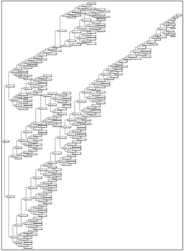 Terrell/Richmond Pedigree