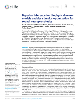 Bayesian Inference for Biophysical Neuron Models Enables Stimulus