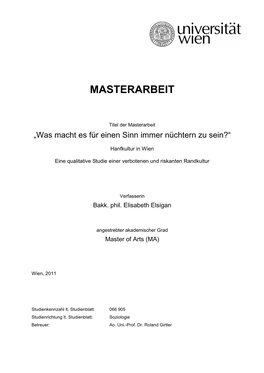 Masterarbeit