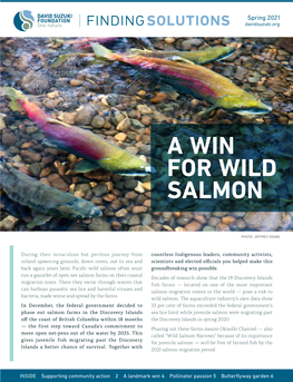 A Win for Wild Salmon