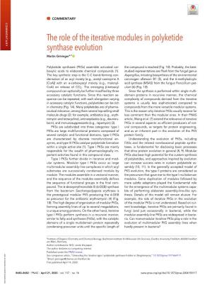 The Role of the Iterative Modules in Polyketide Synthase Evolution