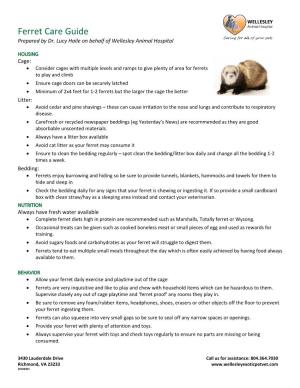 Ferret Care Guide Prepared by Dr