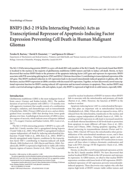 BNIP3 (Bcl-2 19 Kda Interacting Protein) Acts As Transcriptional Repressor of Apoptosis-Inducing Factor Expression Preventing Cell Death in Human Malignant Gliomas