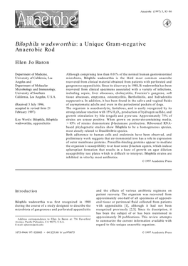 Bilophila Wadsworthia: a Unique Gram-Negative Anaerobic Rod
