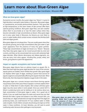 Learn More About Blue-Green Algae by Gina Laliberte, Statewide Blue-Green Algae Coordinator, Wisconsin DNR