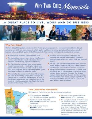 Why Twin Cities Minnesota Regional Fact Sheet Brochure 2013