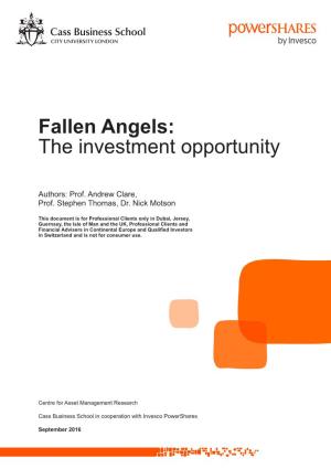 Fallen Angels: the Investment Opportunity