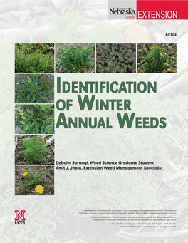 Identification of Winter Annual Weeds