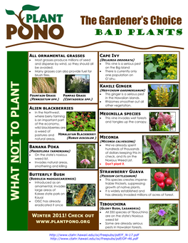Plant Pono: the Gardener's Choice