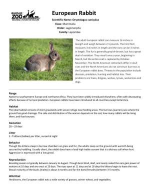 European Rabbit Scientific Name: Oryctolagus Cuniculus Class: Mammalia Order: Lagomorpha Family: Leporidae