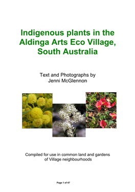 Indigenous Plants in the Aldinga Arts Eco Village, South Australia