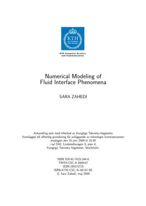 Numerical Modeling of Fluid Interface Phenomena