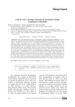 Ciclo De Vida Y Enemigos Naturales De Mechanitis Menapis (Lepidoptera: Ithomiini)