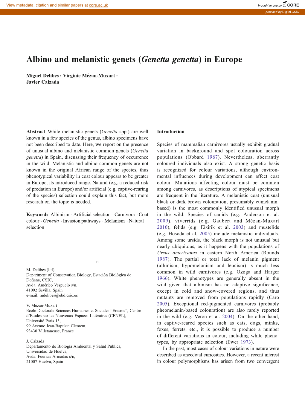 Albino and Melanistic Genets (Genetta Genetta) in Europe