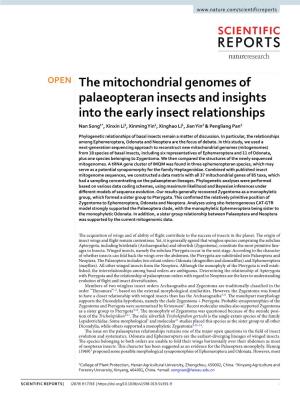 The Mitochondrial Genomes of Palaeopteran Insects and Insights