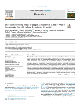 Endocrine Disrupting Effects of Copper and Cadmium in the Oocytes of the Antarctic Emerald Rockcod Trematomus Bernacchii