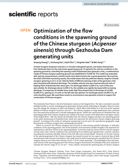 Optimization of the Flow Conditions in the Spawning Ground of The