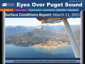 Eyes Over Puget Sound Summary Critters & Divers Climate & Streams Combined Factors Marine Water Aerial Photos Data Surface Conditions Report: March 11, 2021