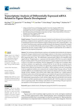 Transcriptome Analysis of Differentially Expressed Mrna Related to Pigeon Muscle Development