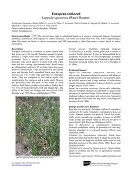 European Stickseed Lappula Squarrosa (Retz) Dumort
